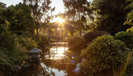 Japanese Garden in Esquimalt Gorge Park, Victoria, Vancouver Island, British Columbia, Canada. Sunny Summer Sunset.の写真素材
