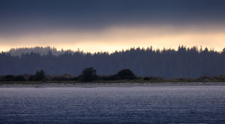Tofino, Vancouver Island, British Columbia, Canada. View of Canadian Mountain Landscape on the West Coast of Pacific Ocean. Nature Background. Sunset Sky.の写真素材