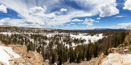 Mountain Pass in Uinta-Wasatch-Cache National Forest, Utah, United States of America. Trees and Snow...