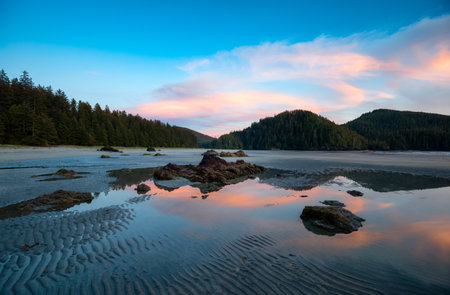 Sandy beach on Pacific Ocean Coast View. Sunset Sky. San Josef Bay, Cape Scott Provincial Park, Northern Vancouver Island, BC, Canada. Canadian Nature Backgroundの素材 [FY310196334287]