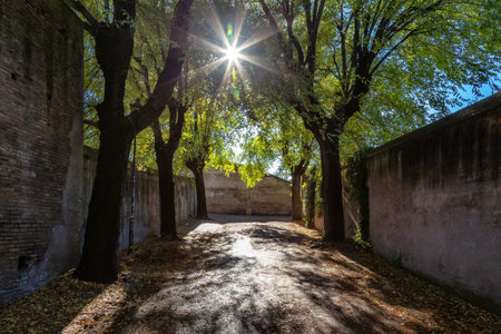 Pathway in City Park. Brick Old Historic Walls. Rome, Italy. Sunny Day.の写真素材