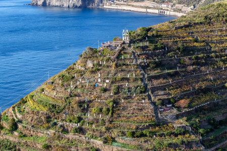Small touristic town on the coast and farmland, Manarola, Italy. Cinque Terre. Sunny Fall Season day.の写真素材