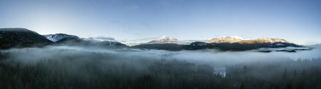 Green Trees in Forest with Fog and Mountains. Winter Sunny Sunrise. Canadian Nature Landscape Background. Near Squamish, British Columbia, Canada. Panoramaの写真素材