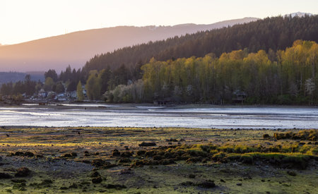Scenic Shore in City Park during Sunset. Sunny Spring Season. Port Moody, Vancouver, BC, Canada.の写真素材
