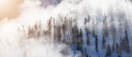 Green Trees on top of Canadian Mountain Landscape covered in Clouds. Aerial View near Vancouver, BC, Canada.の写真素材