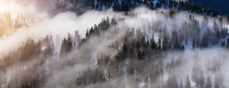 Green Trees on top of Canadian Mountain Landscape covered in Clouds. Aerial View near Vancouver, BC, Canada.の写真素材