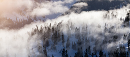 Green Trees on top of Canadian Mountain Landscape covered in Clouds. Aerial View near Vancouver, BC, Canada.の写真素材