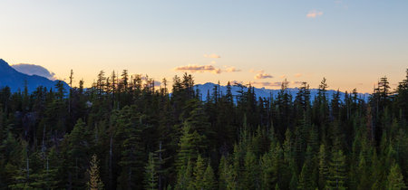 Canadian Mountain Landscape during Sunset. Squamish, British Columbia, Canada.の写真素材