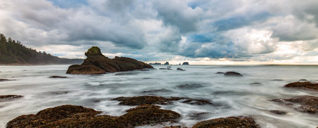 Rocky shore on Pacific Ocean West Coast. Washington, USA. Nature Background.の写真素材