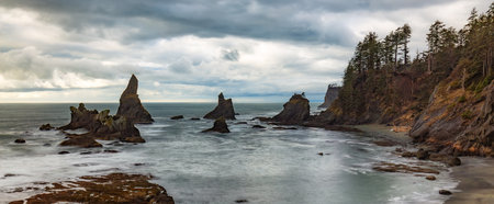 Rocky shore on Pacific Ocean West Coast. Washington, USA. Nature Background.の写真素材