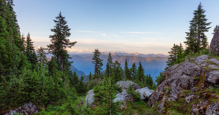Green trees on top of Canadian Mountain Landscape. Sunny Sunset Sky. Nature Background. Seymour, North Vancouver, BC, Canada.の写真素材