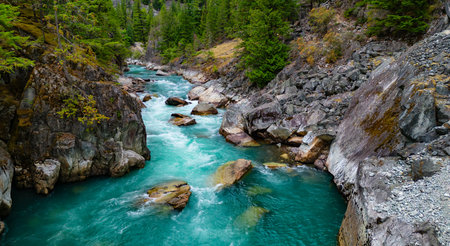 River in a Rocky Mountain Canyon. British Columbia, Canada. Aerial Nature Background.の写真素材