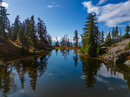 Lake on top of a Mountain with colorful wild flowers and trees in Fall Season. Squamish, British Columbia, Canada.の写真素材