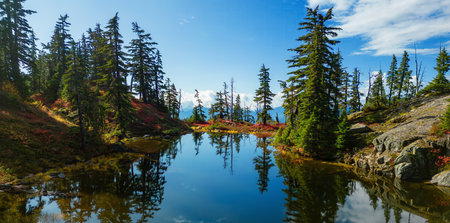 Lake on top of a Mountain with colorful wild flowers and trees in Fall Season. Squamish, British Columbia, Canada.の写真素材