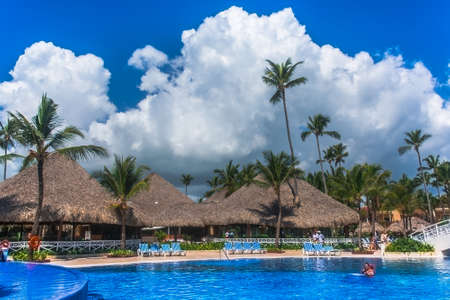 blue water pool surrounded by palm trees