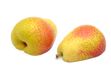 peer on a white bakground isolated photoの写真素材