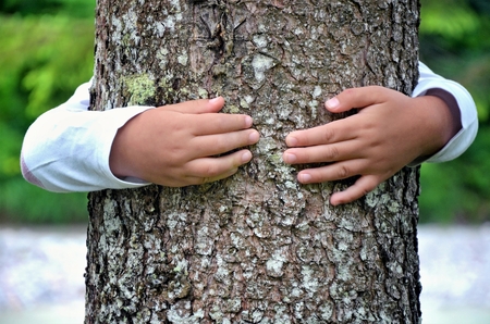 child hands around a tree beautiful photoの写真素材