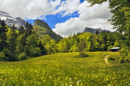 Green field meadow in Austria Salzburg in Loferの写真素材