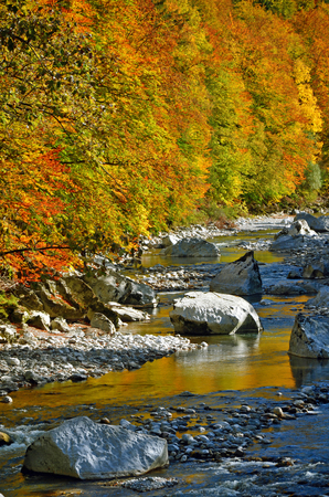 creek in autumn in Lofer by Salzburg Austriaの写真素材