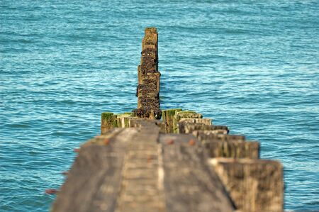 North Sea with the wood long the water