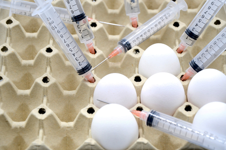 Eggs and syringe in a box photoの写真素材