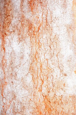 Marble wall near position orange white colorの写真素材