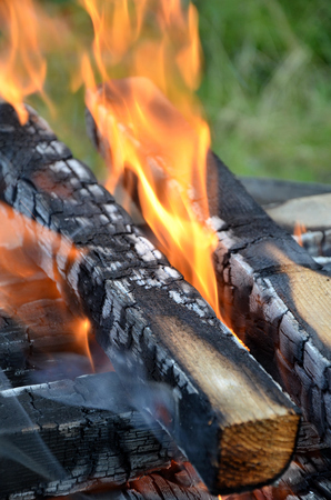 fire place in the forest close upの写真素材