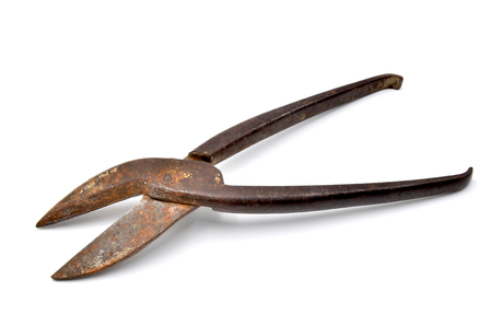 cutter tongs on a white background close upの写真素材
