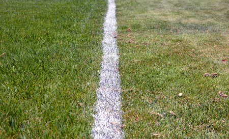 soccer field white outline close up photo