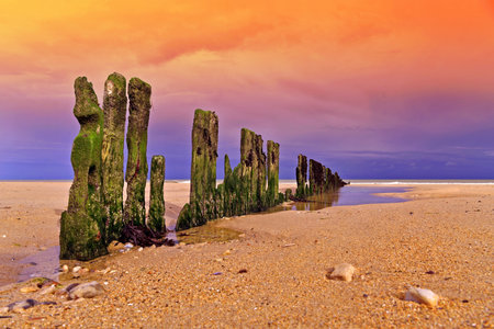 Wooden breakwater on the beach at sunset in the summer.の写真素材