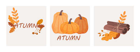 Autumn mood set. Collection of cards for advertising goods. Stylish website design. Pumpkins, bundle of firewood, yellow leaves. Cartoon flat vector illustrations isolated on white backgroundのイラスト素材
