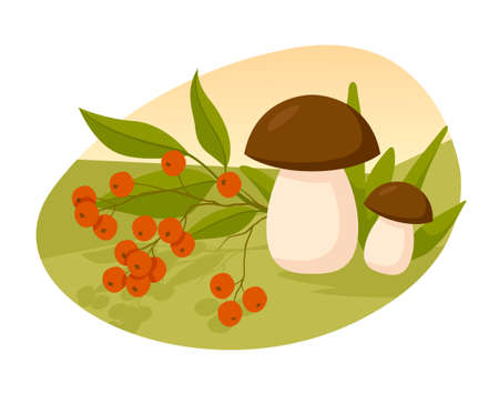 Natural resources concept. Colorful poster with mushrooms, berries and leaves. Harvesting or farming. Design for apps and printing. Cartoon flat vector illustration isolated on white backgroundのイラスト素材