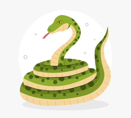 Boa constrictor for kid. Snakes, avatars for social networks. Graphic elements for site. Nature and fauna. Pictures for children, image for printing on tshirts. Cartoon flat vector illustrationのイラスト素材