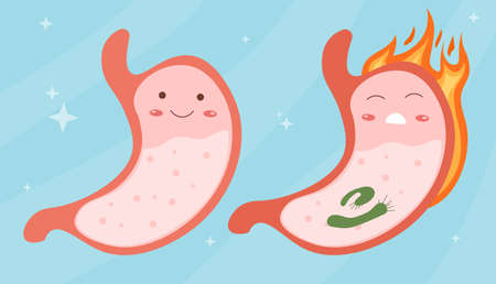 Smiling healthy stomach and sad sick stomach. Gastritis, inflammation of mucous, bacteria, infectious disease. Abdominal pain or heartburn. Treatment and prevention. Cartoon flat vector illustrationのイラスト素材