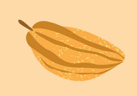 Autumn dried fruit. Food element for festival. Wholesome plant object. Sticker for cooking, kitchen, restaurants. Organic healthy ingredient. Ripe harvest. Hand drawn cartoon flat vector illustrationのイラスト素材