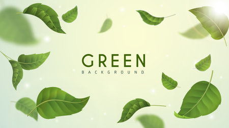 Green leaves background. Herbal tea crop. Natural foliage. Care about nature and environment. Fresh eco products. Template for banner and cover. Realistic vector illustrationのイラスト素材