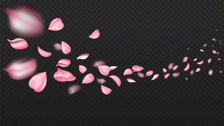 Realistic sakura petals. Pink cherry buds. Bloom and blosssom plants and flowers. Flying leaves and foliage. Spring season. 3D vector collection isolated on transparent backgroundのイラスト素材