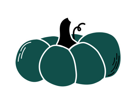 Hand drawn pumpkin. Green pumpkin sketch. Autumn and fall season vegetable. Halloween celebration, thanksgiving day. Poster or banner. Flat vector illustration isolated on white backgroundのイラスト素材
