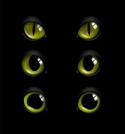 Realistic cat eyes set. Creepy pet and domestic animal. International holiday of fear and horror. Symbol of Halloween. Green eyeballs. 3D vector collection isolated on black backgroundのイラスト素材
