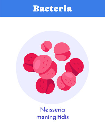 Group of pink Neisseria meningitidis bacteria in circular composition, flat graphic style on white...