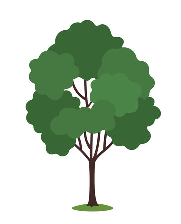 A simple green tree with full leafy crown and brown trunk in flat cartoon style, displayed on a white background. Concept of nature, forest, and environment. Vector illustrationのイラスト素材