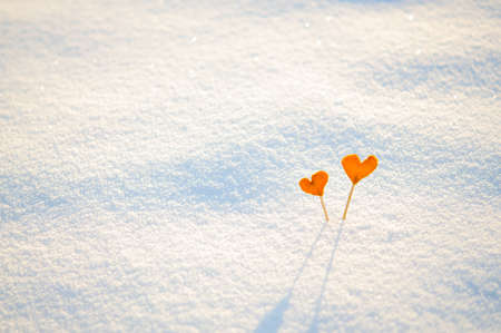 Two vintage orange tangerine hearts on sticks on white snow backgroundの写真素材