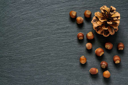 Pine cone and hazel nuts or hazelnuts on black slate stone background with copy spaceの写真素材