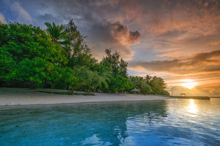 Beautiful impressive ocean sunset with palm trees and blue water in Maldives