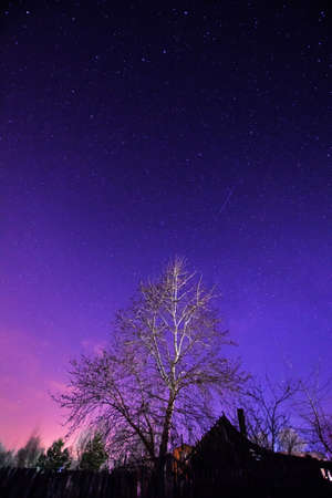 Starry night sky over tree and small house in springの写真素材