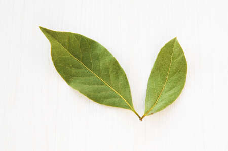Dried bay leaves on white wooden planksの写真素材