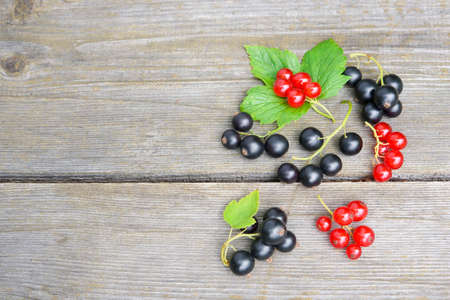 Black and red currant berries on old ristic wooden background
