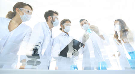 scientists working with test tubes and microscope in the laboratoryの写真素材