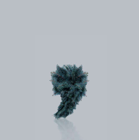 symbols from fir-tree