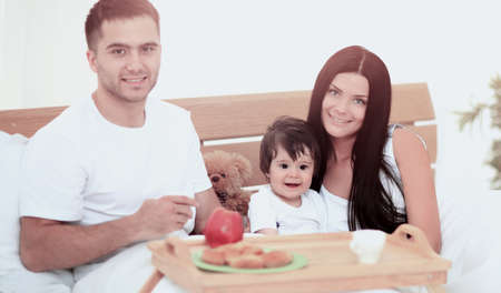 Smiling family having breakfastの写真素材